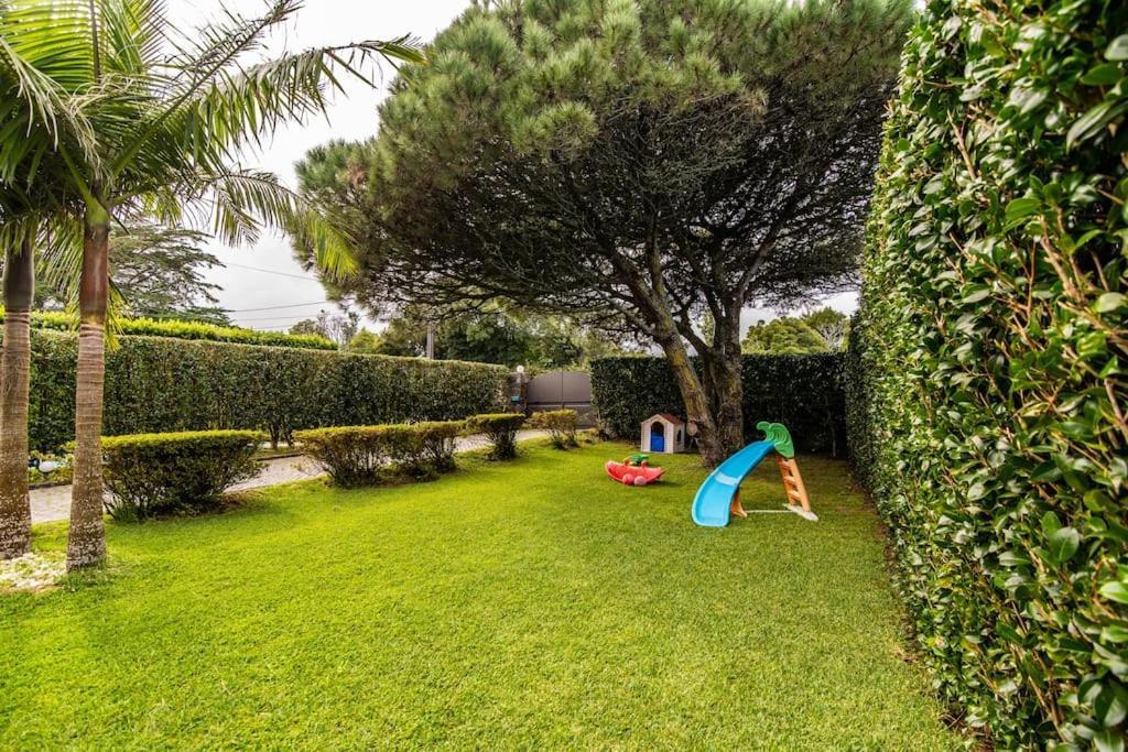 Apartamento Do Pinheiro Sao Vicente Ferreira Exterior photo
